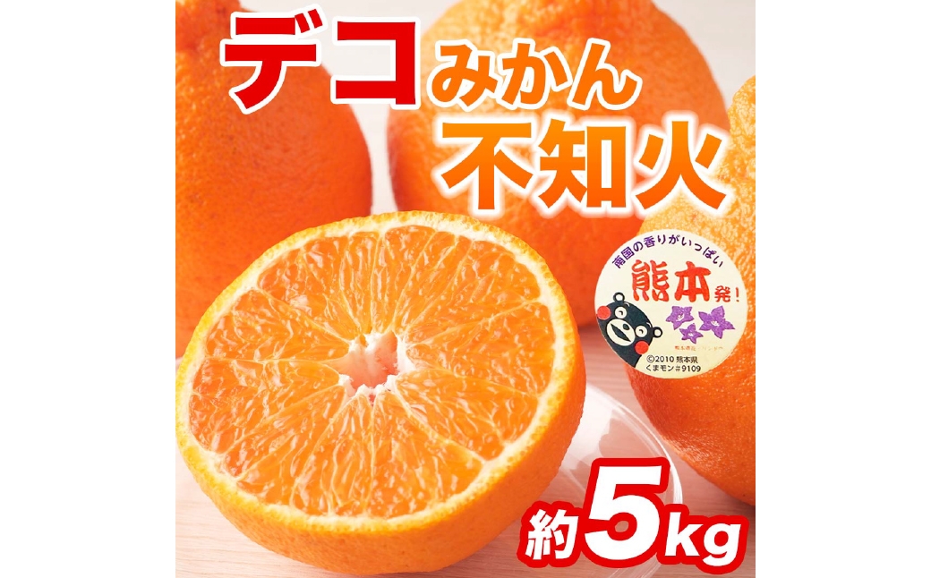 
                  不知火 （ デコポン同品種 ） 12 ～ 24玉 約5kg デコポン 柑橘系 柑橘類 柑橘 果物 くだもの フルーツ 果実 果汁 果肉 国産 熊本県産 【 2027年2月上旬から4月上旬発送予定 】
                