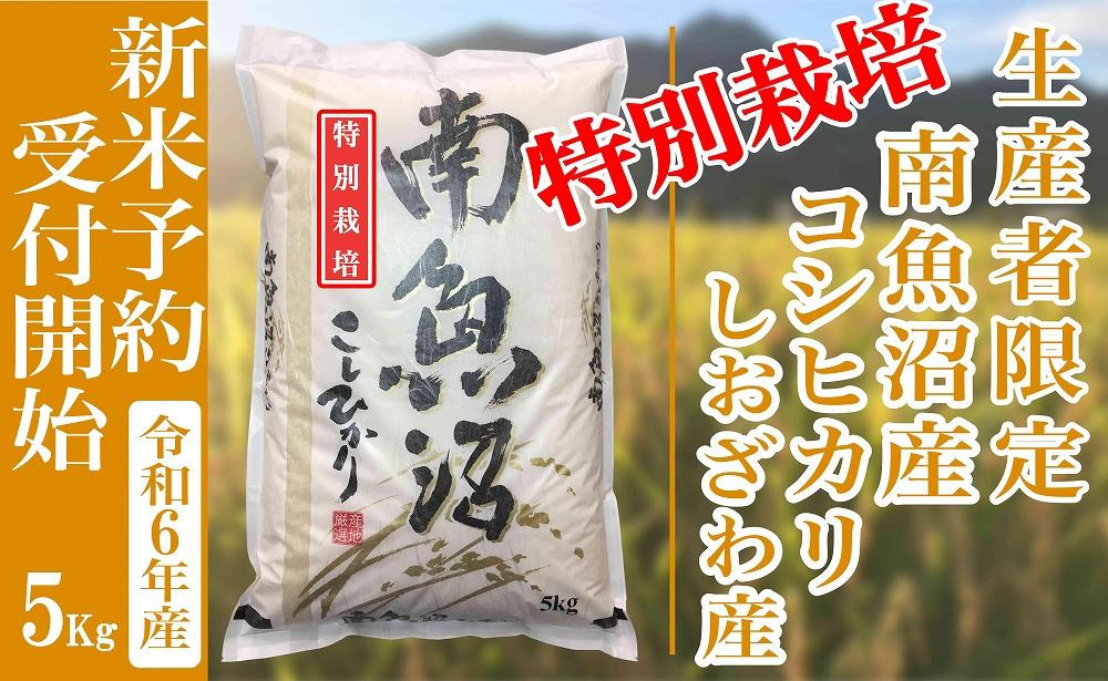 
【新米予約・令和6年産】精米５Kg 【特別栽培】生産者限定 南魚沼しおざわ産コシヒカリ
