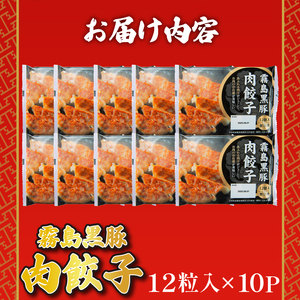 霧島黒豚餃子 120個 冷凍 小分け 餃子 IR 