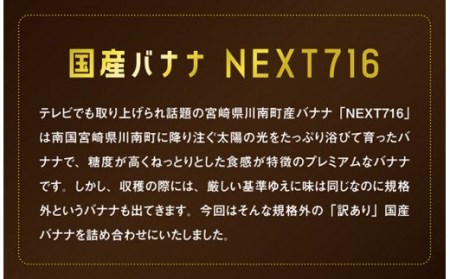 【訳あり】国産バナナ １ｋｇ【12ヶ月定期便】【 国産 バナナ 無農薬 フルーツ 果物 デザート 朝食 スムージー 訳ありバナナ 全12回 】