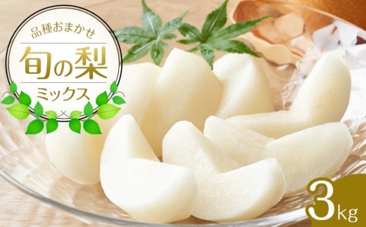 【品種はおまかせ】旬の梨ミックスセット 3kg ※2025年8月下旬～12月下旬頃に順次発送予定【梨 なし 果物 フルーツ くだもの 鳥取県 北栄町 おすすめ 人気 送料無料】