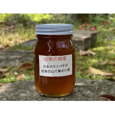 ふるさと納税 田辺市 純粋日本蜂蜜(紀南の蜂蜜)　600g 【nts008】
