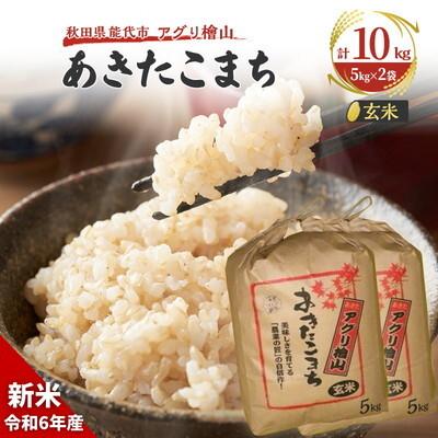 ふるさと納税 能代市 【玄米】秋田県産 あきたこまち 10kg アグリ檜山[No.5335-0037]