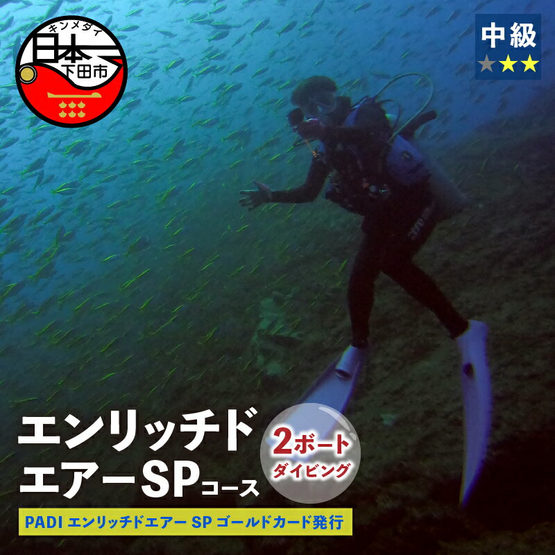 【ふるさと納税】 ダイビング 海 エンリッチドエアー