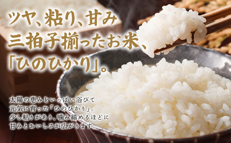 米  「原田さんちのお米」ヒノヒカリ 5kg  米 