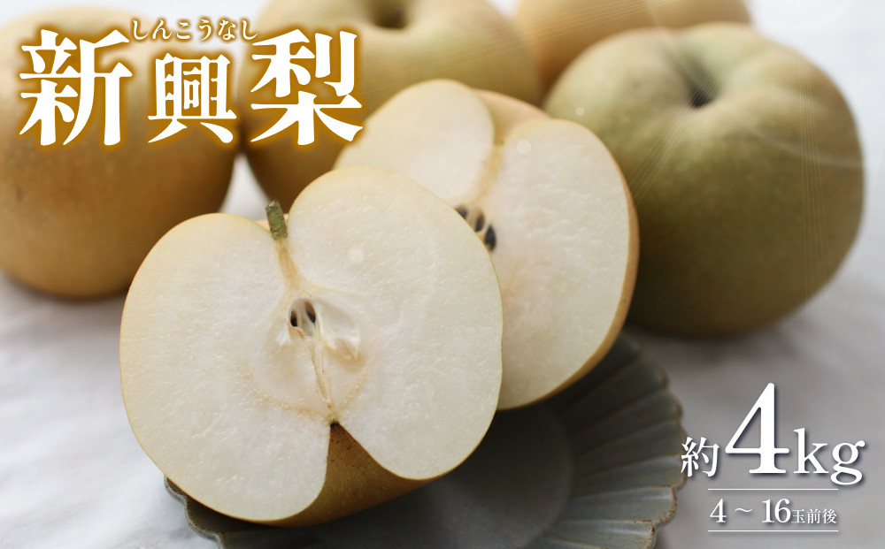 
                  【2026・先行予約】新興梨（しんこうなし）4kg｜鳥取 果物 くだもの フルーツ なし 梨 和梨 旬 数量限定 2026年収穫後【41036】
                