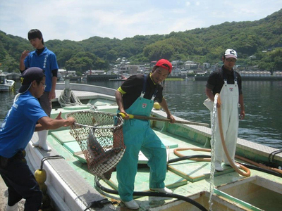 瀬戸内海上釣堀「大漁丸」ご招待券 (1名利用) [1886]