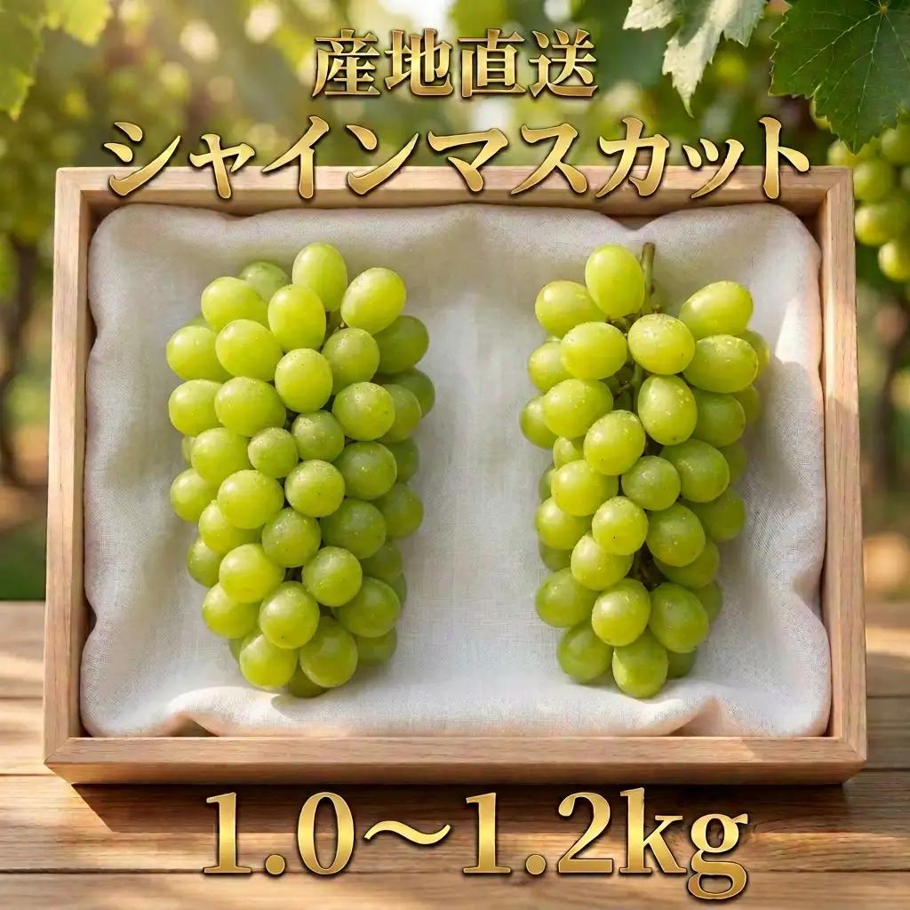 長野県青木村産シャインマスカット（1kg）