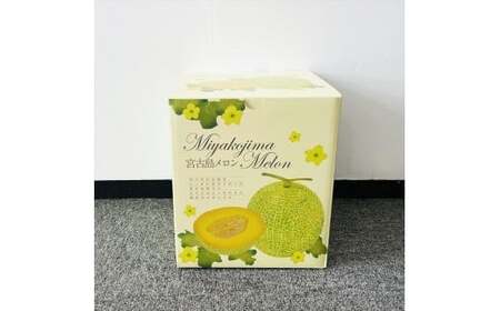 ★品切れ★【琉球マルシェ】毎年大好評！沖縄・宮古島 冬メロン（１玉）贈答用 冬のギフト