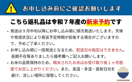 【先行予約】 令和７年産 コシヒカリ 精米 10㎏ ＜2025年9月中旬より発送＞ 奥信濃飯山～木内ファームのお米～  (7-9B) 長野県 飯山市 おすすめ ランキング おいしい 高評価 大人気 こ