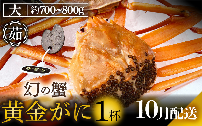 
            黄金ガニ（大サイズ） × 1杯 「ズワイガニと紅ズワイガニのあいのこ」幻のカニを浜茹ででお届け！【黄金がに カニ 姿 ボイル 冷蔵 福井県】【10月発送分】希望日指定可 備考欄に希望日をご記入ください [e22-x005_10]
          