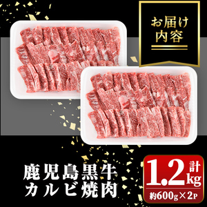 【B01032】＜A5等級＞鹿児島黒牛カルビ焼肉用(計約1.2kg・約600g×2) 牛肉専門店自慢のお肉 鹿児島 国産 九州産 牛肉 黒牛 鹿児島黒牛 和牛日本一 お肉 カルビ 焼肉 BBQ バーベ