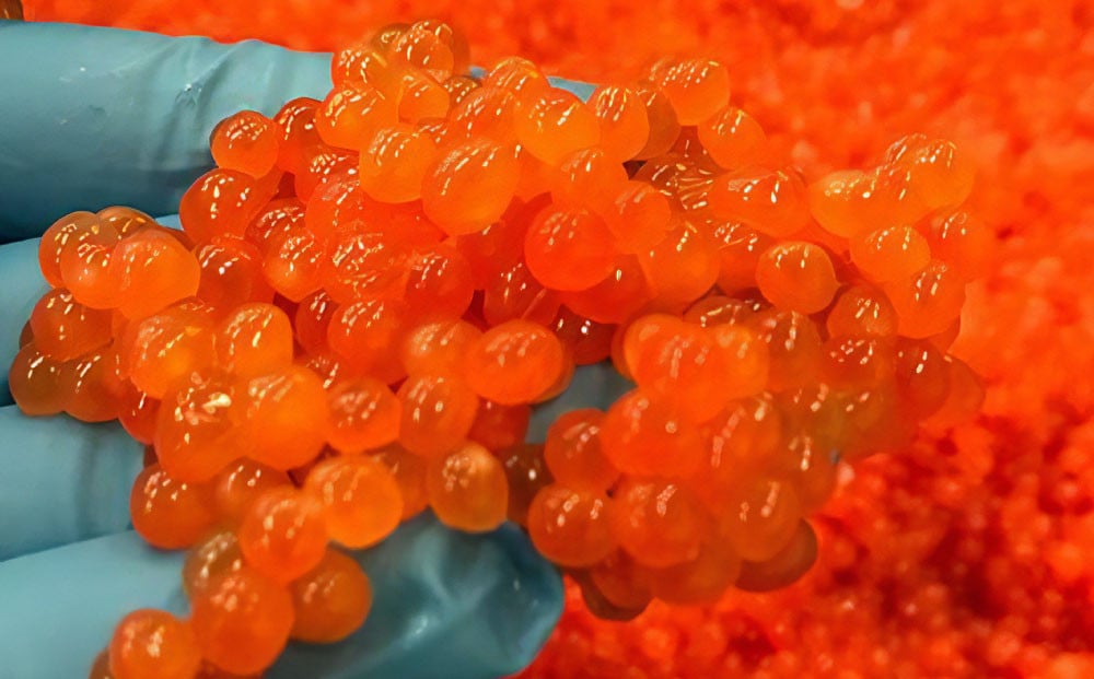 北海道礼文島産 いくら醤油漬 810g（90g×9パック） 小粒 