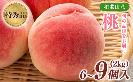 旬の桃 (特秀品) 約2kg 6～9個入 ｜ 桃
