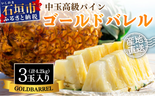 ＜先行予約＞ 石垣島産 中玉ゴールドバレル３玉 約4.2kg ＜2026年7月以降発送＞ | 産地直送 沖縄 石垣 フルーツ パイナップル パイン ゴールドバレルパイン SI-114