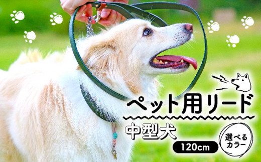 ペット用 リード 中型犬用 カーキ 120cm 本革 ペット 犬 愛犬 ワンちゃん 中型犬 首輪 リード 本革 レザー 牛革 牛 散歩 さんぽ ウォーキング 健康 おしゃれ 消耗品 大阪府 松原市