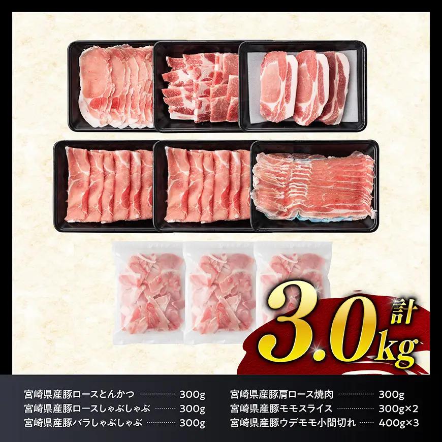※令和8年10月発送※宮崎県産豚肉６種　3.0kg 【 国産 宮崎県産 豚 ぶた 肉 ロース バラ とんかつ 焼肉 】
