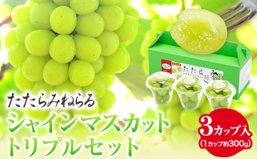 【先行予約】  たたらみねらる シャインマスカット トリプルセット  約300g×3カップ 計約900g シャイン マスカット 種無し ぶどう 果物 フルーツ 糖度18度以上 《2026年8月下旬-10月下旬頃出荷予定》