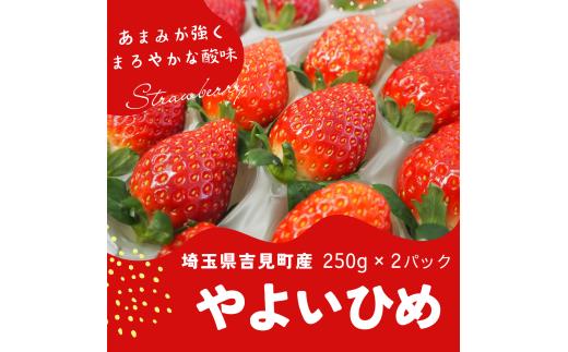 特選「吉見いちご」【やよいひめ】