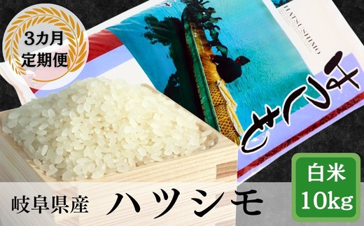 ≪令和7年産≫【3か月定期便】岐阜 ハツシモ （約10kg×3回）