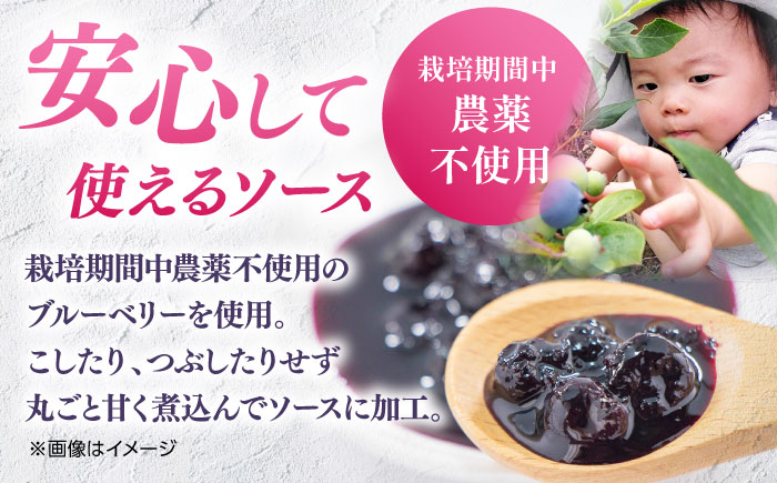 【全6回定期便】星空の ブルーベリーソース 5本セット 180ｇ×5【清和の恵み工房】 [YAA009]