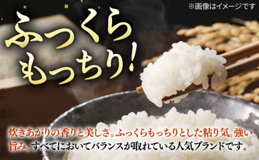【12月配送】お米 こしひかり 5kg ｜ 長崎県産 米 お米 白米 精米 R8年産 令和8年産 こしひかり コシヒカリ 長崎県 壱岐市 長米壱岐営業所 [JCZ021]