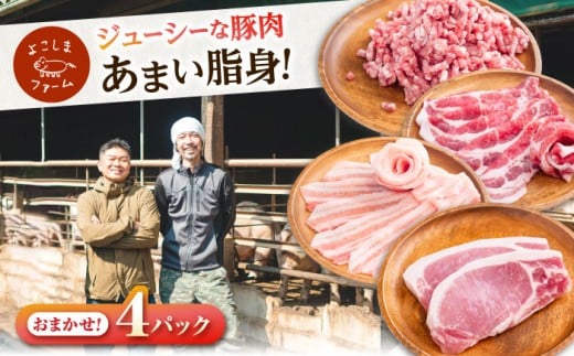 豚肉 うつみ潮風豚 精肉おまかせ4パックセット（1P/180g〜280g） 豚肉 スライス 肉 お肉 にく 食品 国産 人気 おすすめ 広島県福山市/株式会社横島ファーム ふるさと納税 訳あり ではない ブランド豚 詰め合わせ 小分け 便利 冷凍 焼肉 しゃぶしゃぶ ロース バラ モモ ウデ 切り落とし 広島 福山 人気 おすすめ 広島県 福山市 ふるさと納税 [BABT002]
