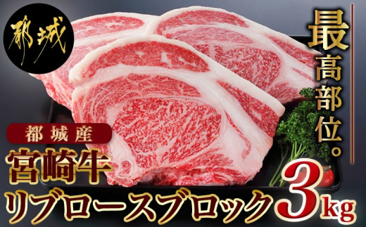 
宮崎牛リブロースブロック3kg_DI-2501_(都城市) 都城産宮崎牛 リブロースブロック 1kg 3kg 霜降り肉 ローストビーフ ステーキ ビーフカレー キャンプ 鉄板焼き 国産 ブランド牛 牛肉 ギフト 贈答用
