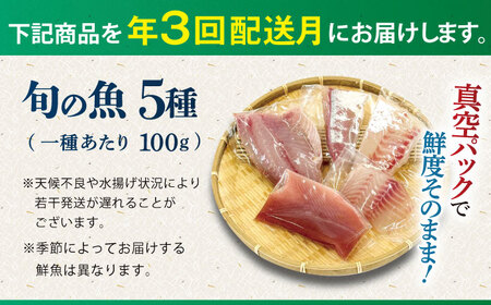 【全３回定期便】【五島の旬】下処理済み 超速冷凍 鮮魚 5種 柵 セット 旬 魚 冷凍 真空 刺身 五島市 / 金沢鮮魚[PEP019]