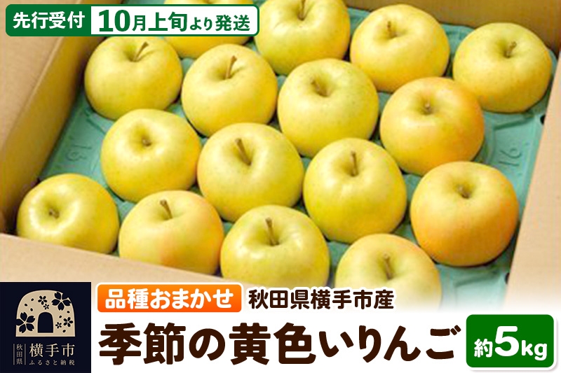 
            【先行受付】10月上旬より発送 季節の黄色いりんご 約5kg（トキ、ぐんま名月、シナノゴールド、王林）
          