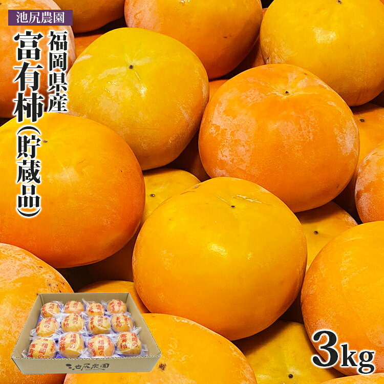 【ふるさと納税】福岡県産 富有柿3kg（貯蔵品）柿 かき カキ フルーツ 果物 福岡県産 福岡 久留米 田主丸 10～14玉 貯蔵 大玉 甘い 冷蔵 鮮度 旬 秋の味覚 冬の味覚 ギフト 贈り物 贈答 プレゼント【2026年12月上旬以降順次発送】