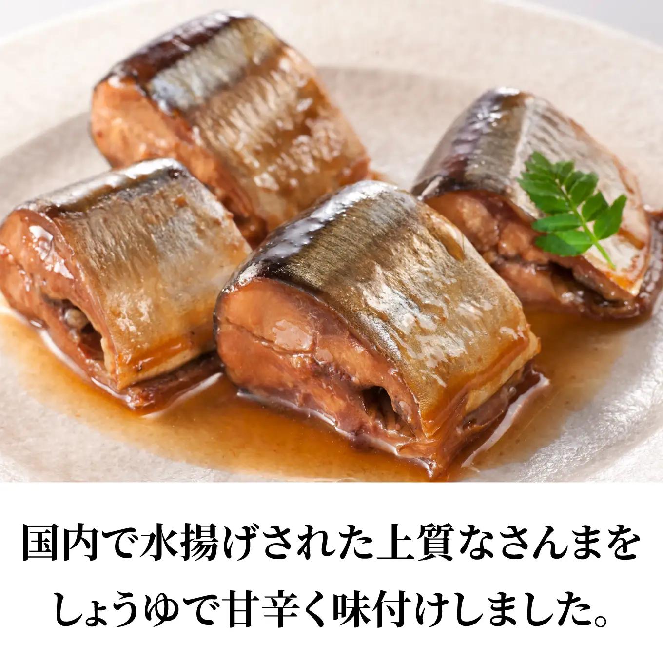 HOKO 日本のさんま 味付 ＜12缶＞ 1缶140g 宝幸 おかず おつまみ 缶詰 非常食 保存食 長期保存 青森県 八戸市