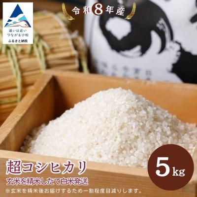 ふるさと納税 小松市 超コシヒカリ精米 白米(玄米5kgを精米したて白米発送) 令和8年産 こしひかり のむら農産