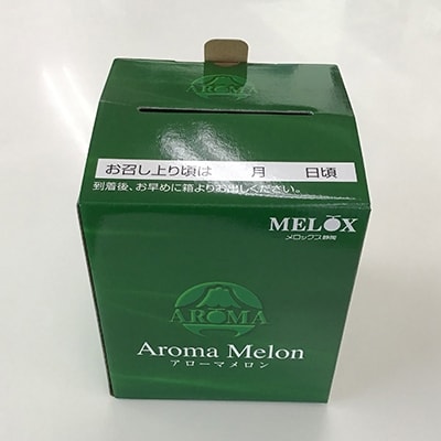 静岡県産　高級アローマメロン　山級約 1.4kg 1玉【配送不可地域：離島・北海道・沖縄県】