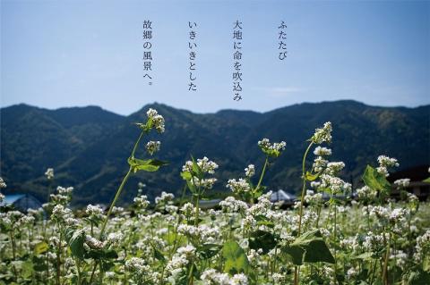 くるめほとめきのそば 10袋_くるめ ほとめき そば 80g × 2束 × 10袋 計 1600g パンフレット 化粧箱 付き 地元 農家 自慢 一品 石臼挽き 5割 使用 つなぎ こだわり 福岡県産