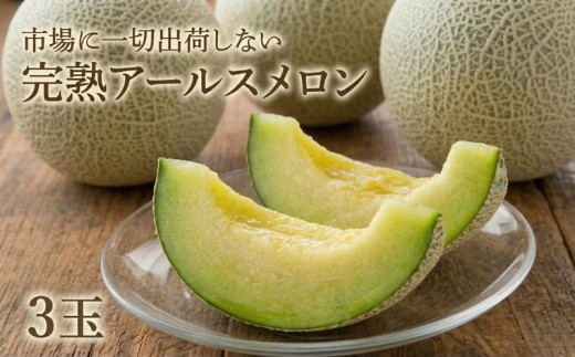 メロン 3玉 アールスメロン 【先行予約】 完熟 めろん 甘い 産地直送 果物 くだもの フルーツ デザート 旬 人気 meron melon 青肉 ジューシー 新鮮 果実 果汁 贅沢 ご褒美 国産 茨城県産 特産品 期間限定 数量限定 関東 茨城 筑西 2026年産