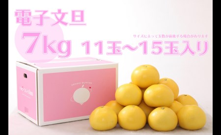電子文旦 7kg贈答用 ハッピーフルーツ果樹園 文旦