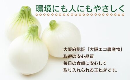 【令和8年度産玉ねぎ先行予約】玉ねぎ 10kg×1箱 ※6月より発送予定