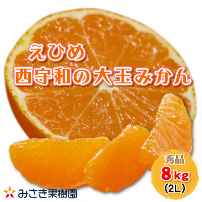 
            西宇和産大玉みかん2Lサイズ8kg＜C21-40＞【1623773】
          
