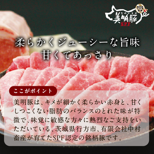美明豚「びめいとん」のジューシー餃子 2パック(30個入り×2袋)｜餃子 ぎょうざ ギョウザ 美明豚 びめいとん 肉 肉加工品 豚肉 お肉 ジューシー 茨城県 行方市(HJ-2)