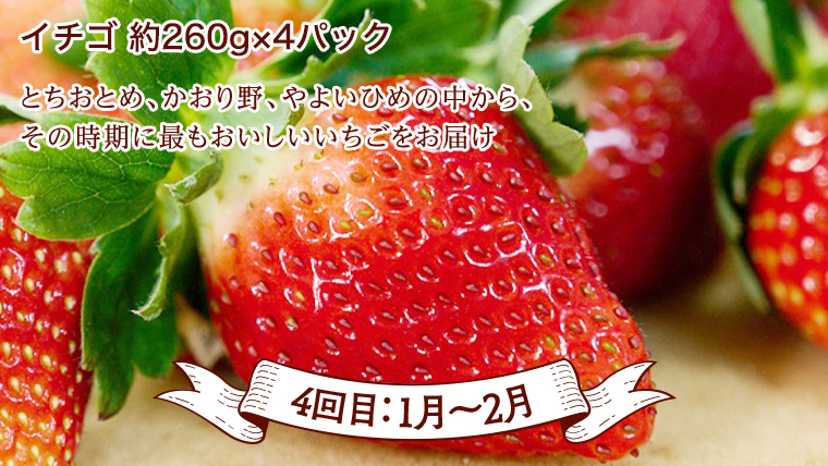 【 定期便 】【 2026年2月下旬から発送開始 全4回 】 数量限定 贅沢 フルーツ 満喫コース 旬の果実 旬のフルーツ くだもの 果実 トマト フルーツトマト スイカ いちご メロン 特選 贅沢 