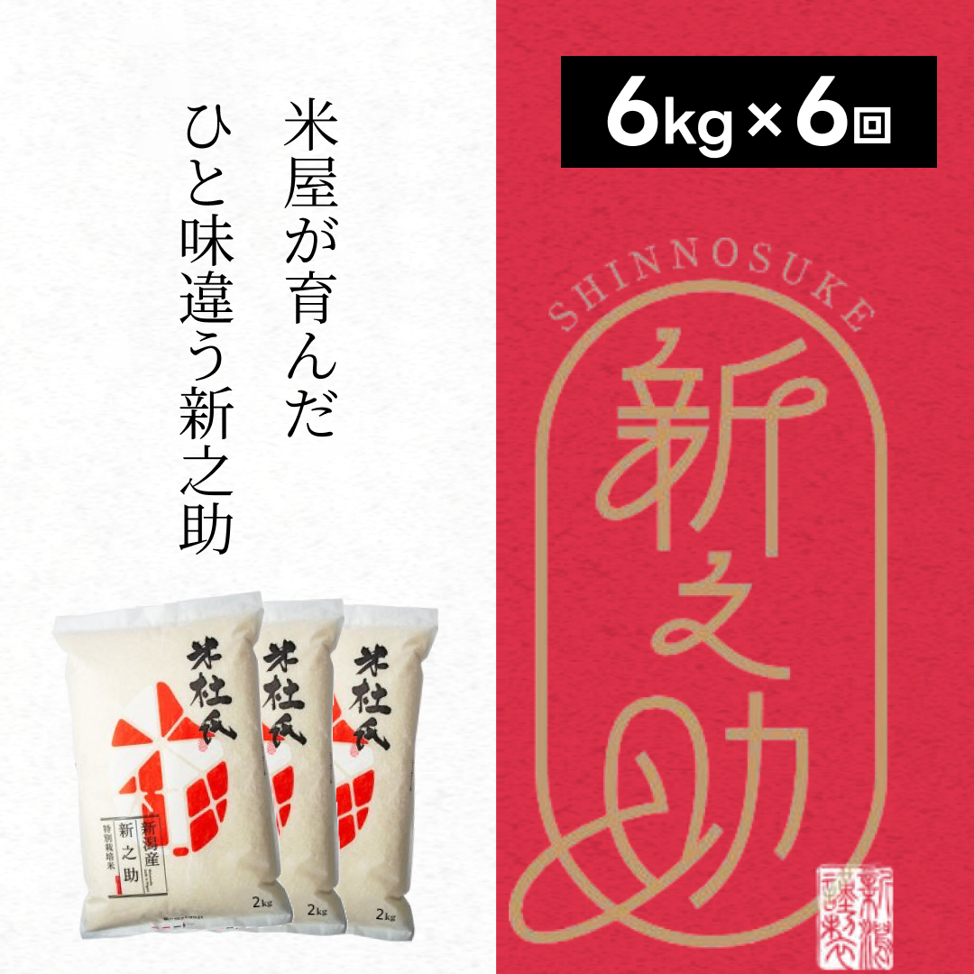  【令和7年産】6ヶ月定期便 特別栽培米 新之助 6kg (2kg×3袋)×6回 米杜氏 壱成 白米 精米 大粒 つや 光沢 弾力 芳醇 1H24133