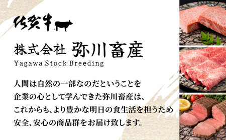 佐賀県産黒毛和牛ヒレステーキ 420g