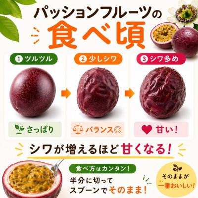 ふるさと納税 本部町 【2026年3月から順次発送】トウメファームのパッションフルーツ1kg(10〜15玉) |  | 02