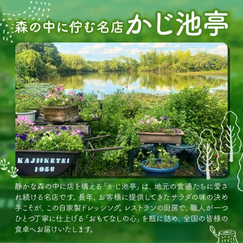 ドレッシング 自家製 300cc 6本