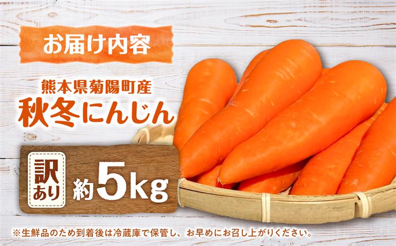 【先行予約】【2026年11月より順次発送】菊陽秋冬にんじん (訳あり) 約5kg / にんじん 菊陽にんじん 秋冬にんじん ニンジン 人参 野菜 熊本 菊陽 【さかもと農園】 [BHDL007]