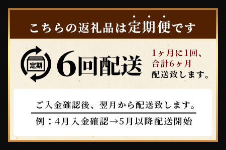 【6回定期】佐賀牛ハンバーグ調理済　130g×4個(ジャポネソース付)　H-49