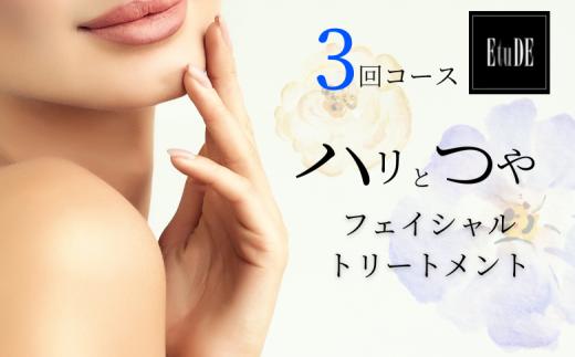 ＼ 3回 施術 ／ フェイシャル トリートメント エステ ハリ・つやコース 美容