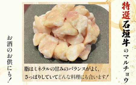 【2025年11月以降順次発送】特選石垣牛の牛スジとマルチョウをご家庭で！！牛スジ500g×2、マルチョウ300ｇ×2の大容量セット | 沖縄 石垣 牛スジ マルチョウ ホルモン 牛 肉 特選 黒毛 