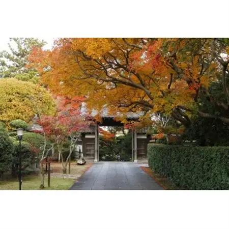 【返礼品なし】大分県日出町への応援寄附(1,000,000円コース)
